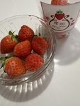 ダイエット成功の人は目標が違う！リバウンドしない夏の減量計画の立て方